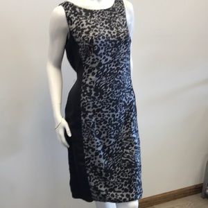 Ann Taylor ladies Dress